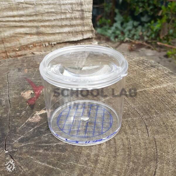 Bug Pots - Pack of 12